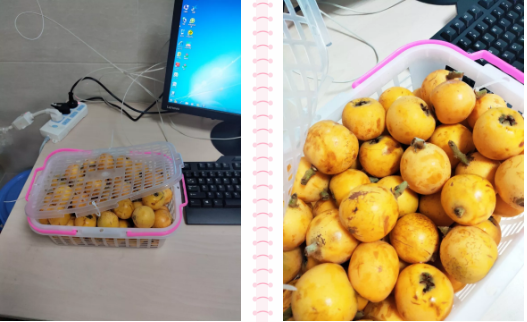 医疗技术下基层，服务百姓送健康