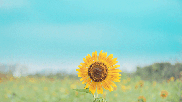 【夏日重点关注】守护全家耳鼻喉健康总动员今夏启航