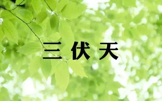 又是一年三伏到 冬病夏治正当时