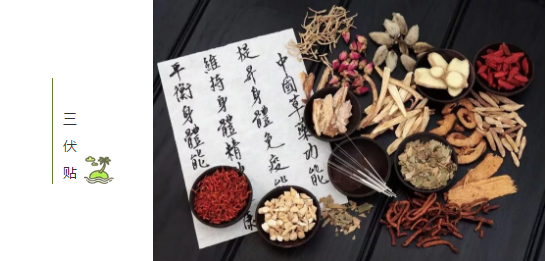 又是一年三伏到 冬病夏治正当时