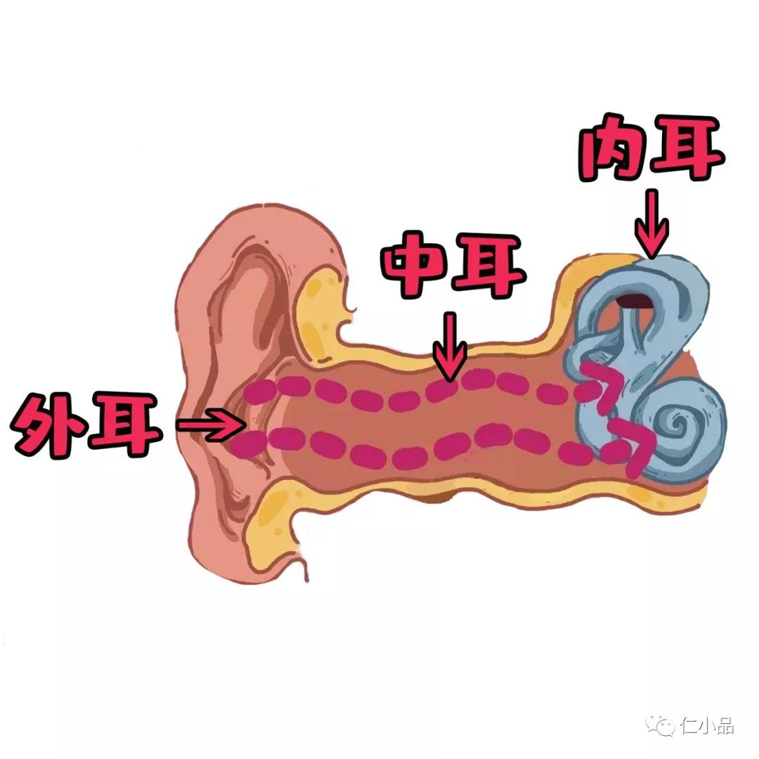 儿童听力保健小知识