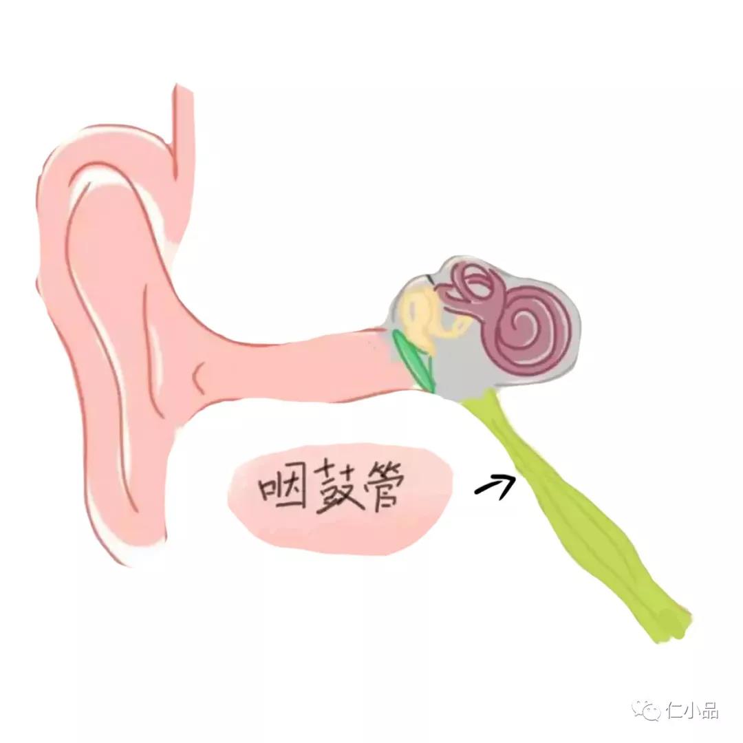 儿童听力保健小知识